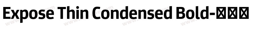 Expose Thin Condensed Bold字体转换